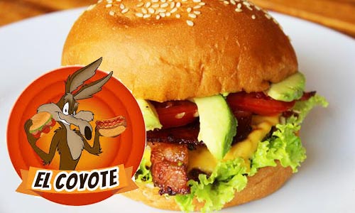 COYOTE